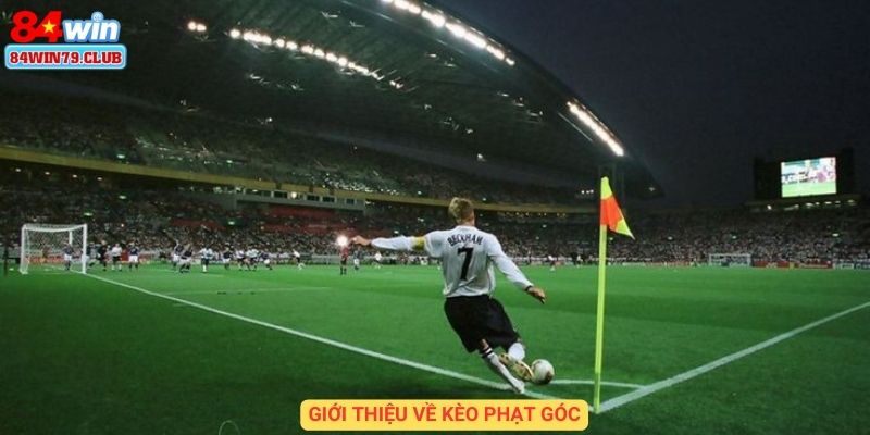 Giới thiệu