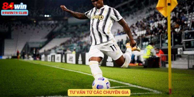 Tư vấn từ các chuyên gia