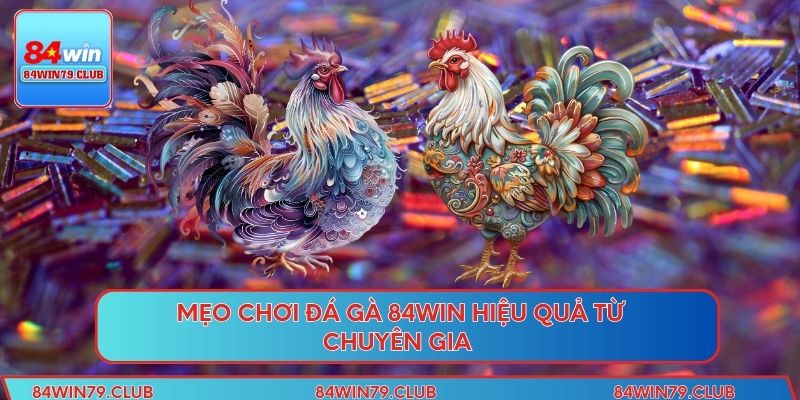 Mẹo chơi đá gà 84win hiệu quả từ chuyên gia